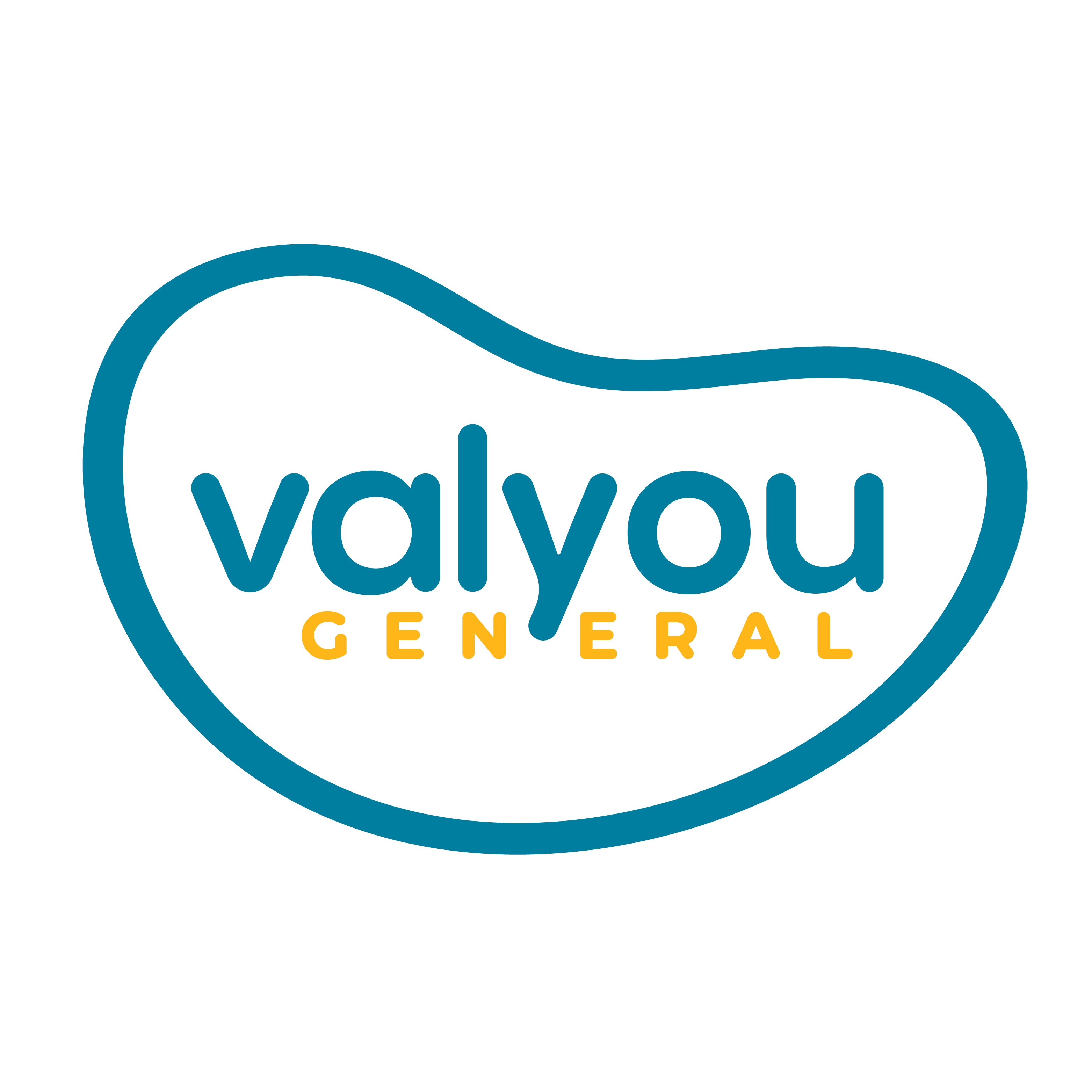 VALYOU GENERAL
